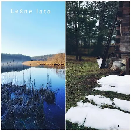 Lesne Lato Loryniec