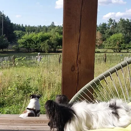 Lesne Lato - Dom Nad Rzeka Wda *