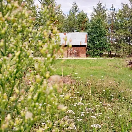 Lesne Lato - Dom Nad Rzeka Wda Loryniec