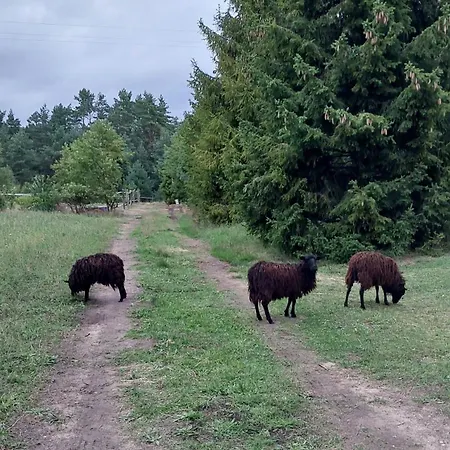 Lesne Lato - Dom Nad Rzeka Wda Сasa de vacaciones Loryniec
