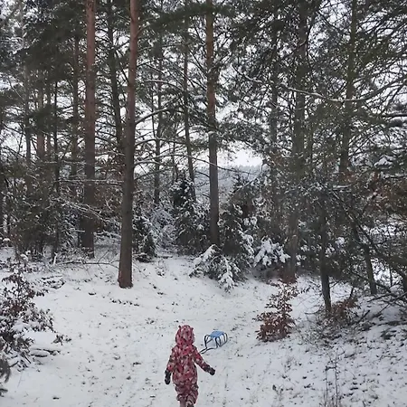 Lesne Lato - Dom Nad Rzeka Wda Сasa de vacaciones Loryniec