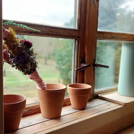 Lesne Lato - Dom Nad Rzeka Wda