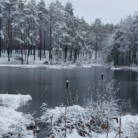 Lesne Lato - Dom Nad Rzeka Wda