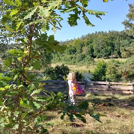 Lesne Lato - Dom Nad Rzeka Wda *
