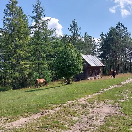 Lesne Lato - Dom Nad Rzeka Wda