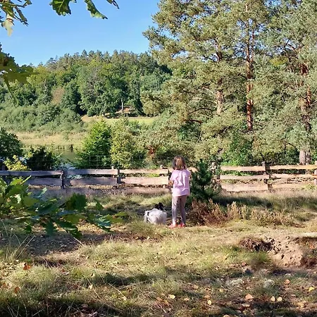 Lesne Lato - Dom Nad Rzeka Wda * Loryniec