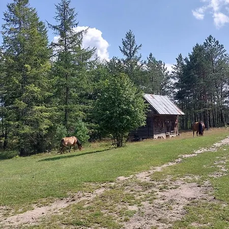 Сasa de vacaciones Lesne Lato - Dom Nad Rzeka Wda