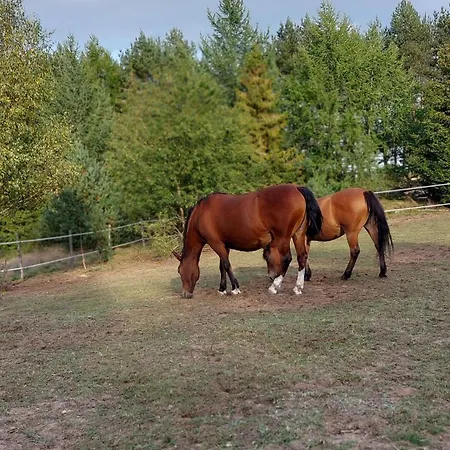 Сasa de vacaciones Lesne Lato - Dom Nad Rzeka Wda Loryniec